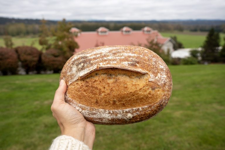Sourdough Workshop