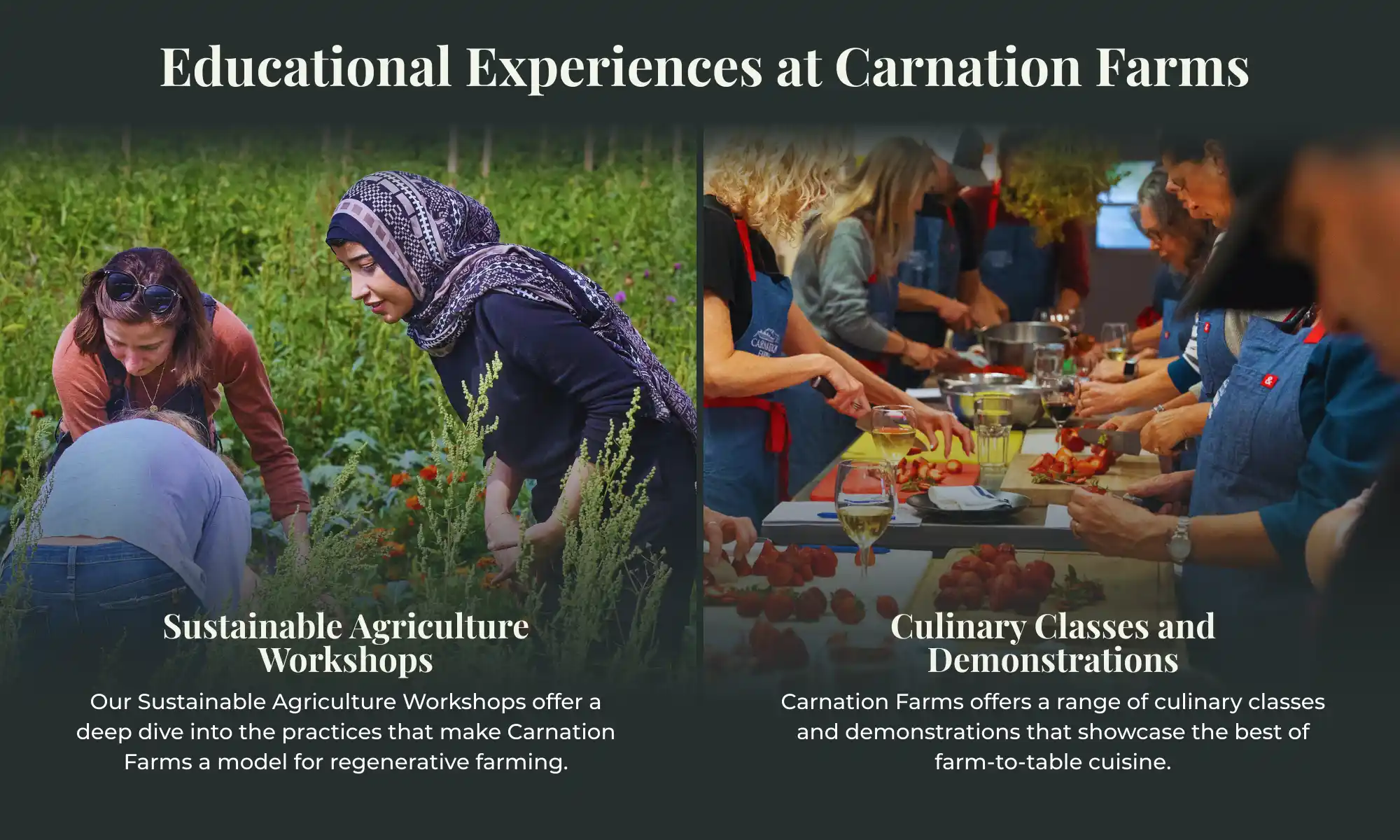 Educational workshops and culinary classes at Carnation Farms focused on sustainability and farm-to-table cooking.