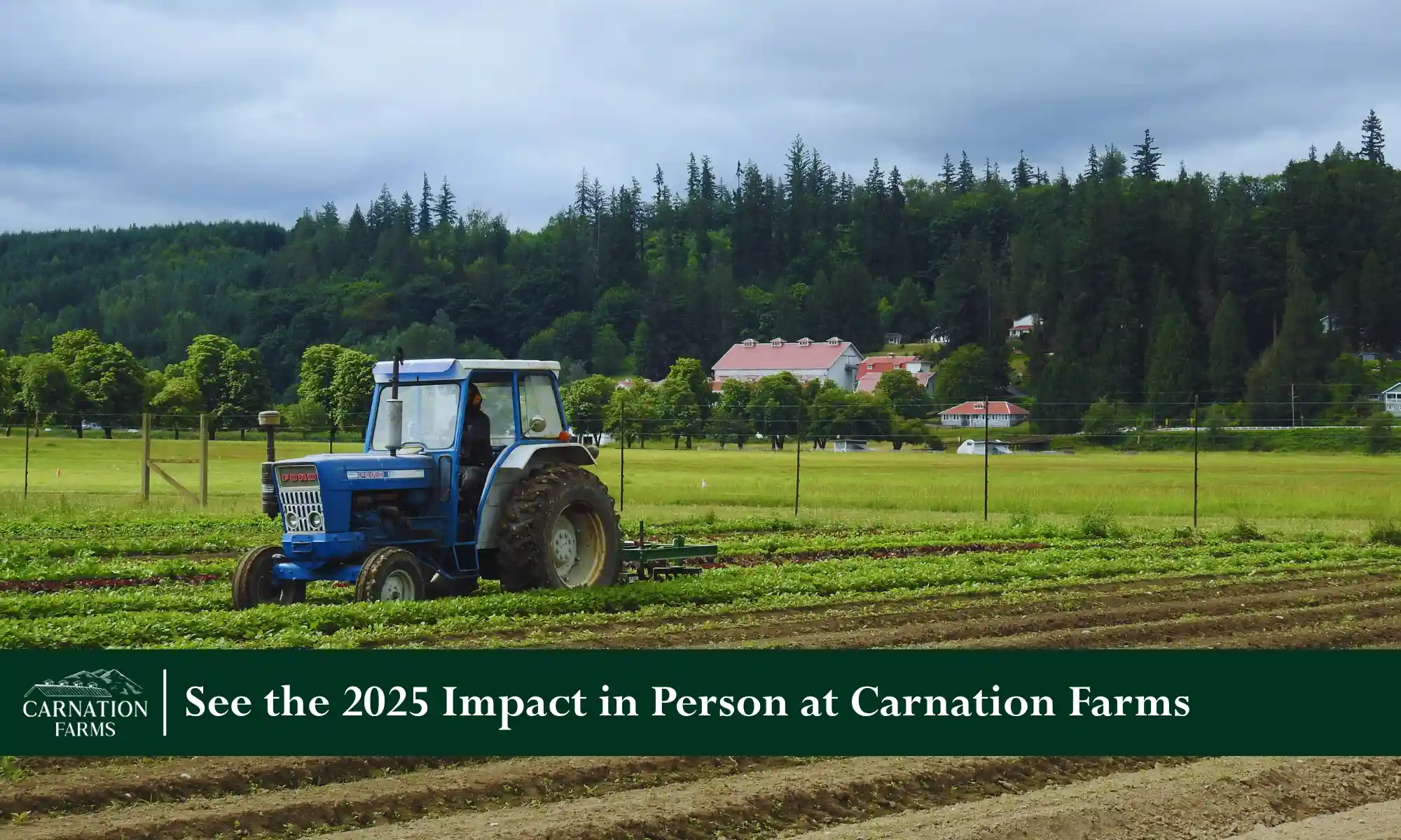 Tractor working fields at Carnation Farms.