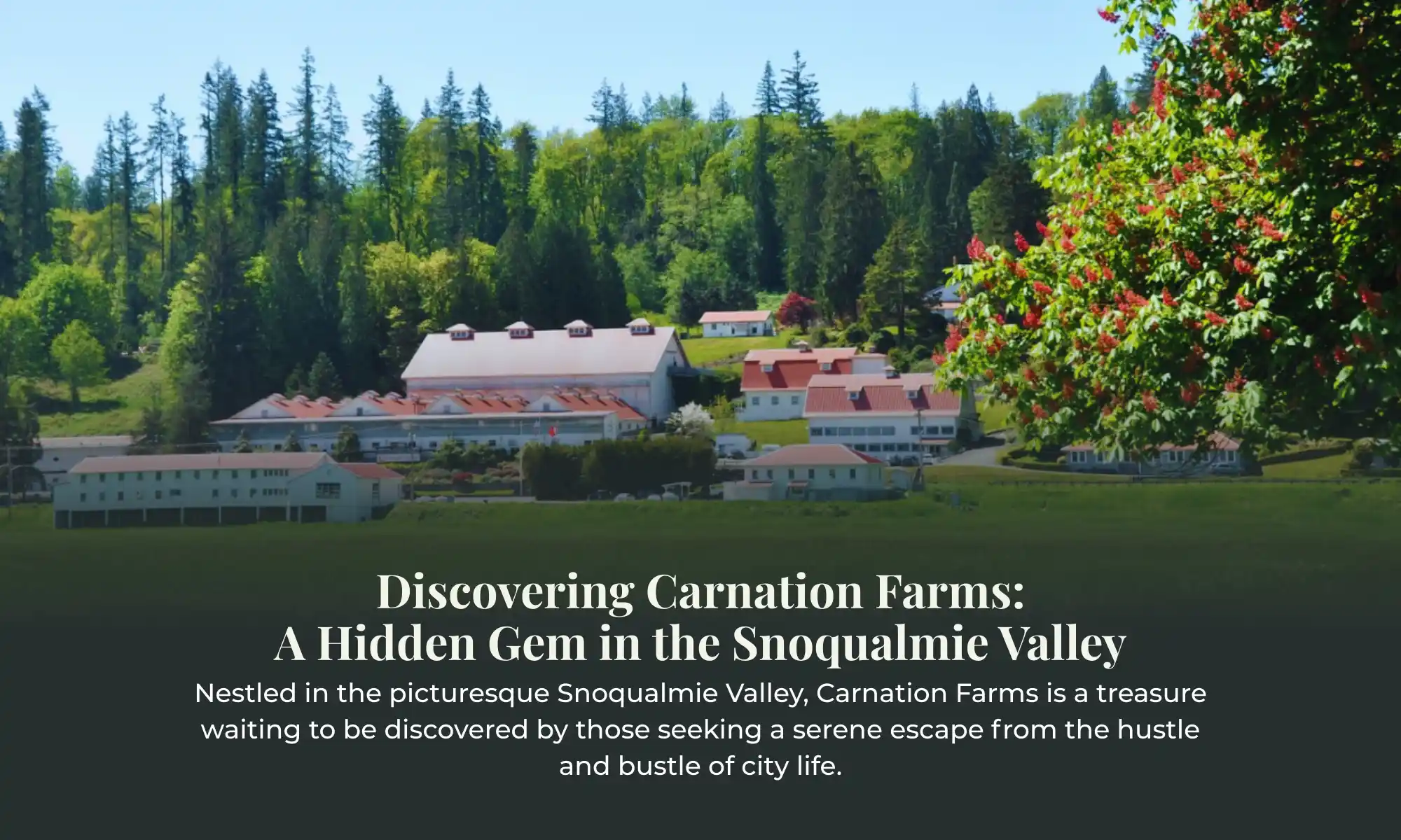 Aerial view of Carnation Farms nestled in the Snoqualmie Valley surrounded by forests and fields.