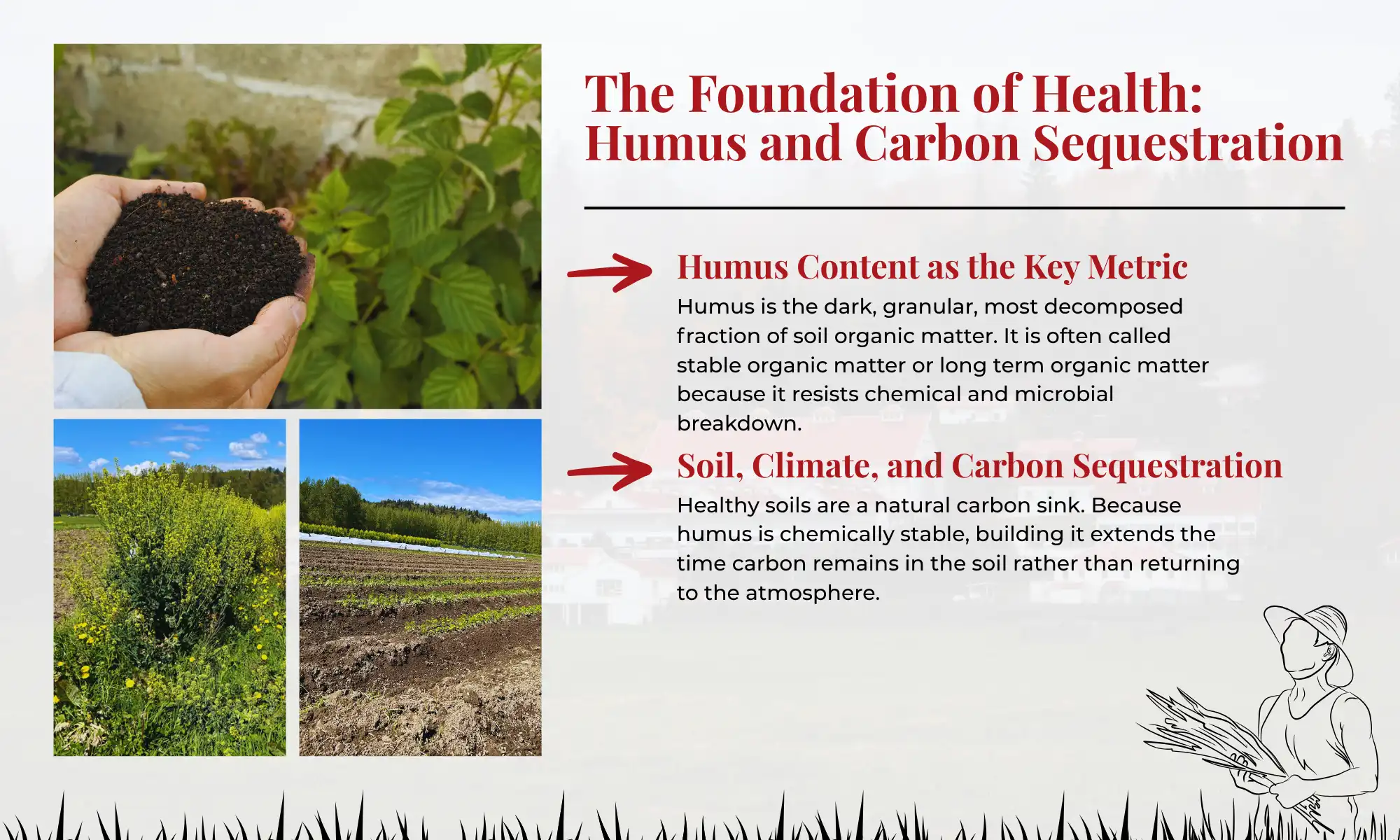Infographic showing humus content, soil health, and carbon sequestration visuals