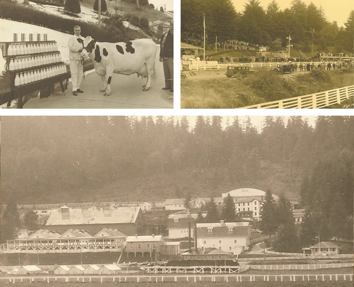 Our History - Collage