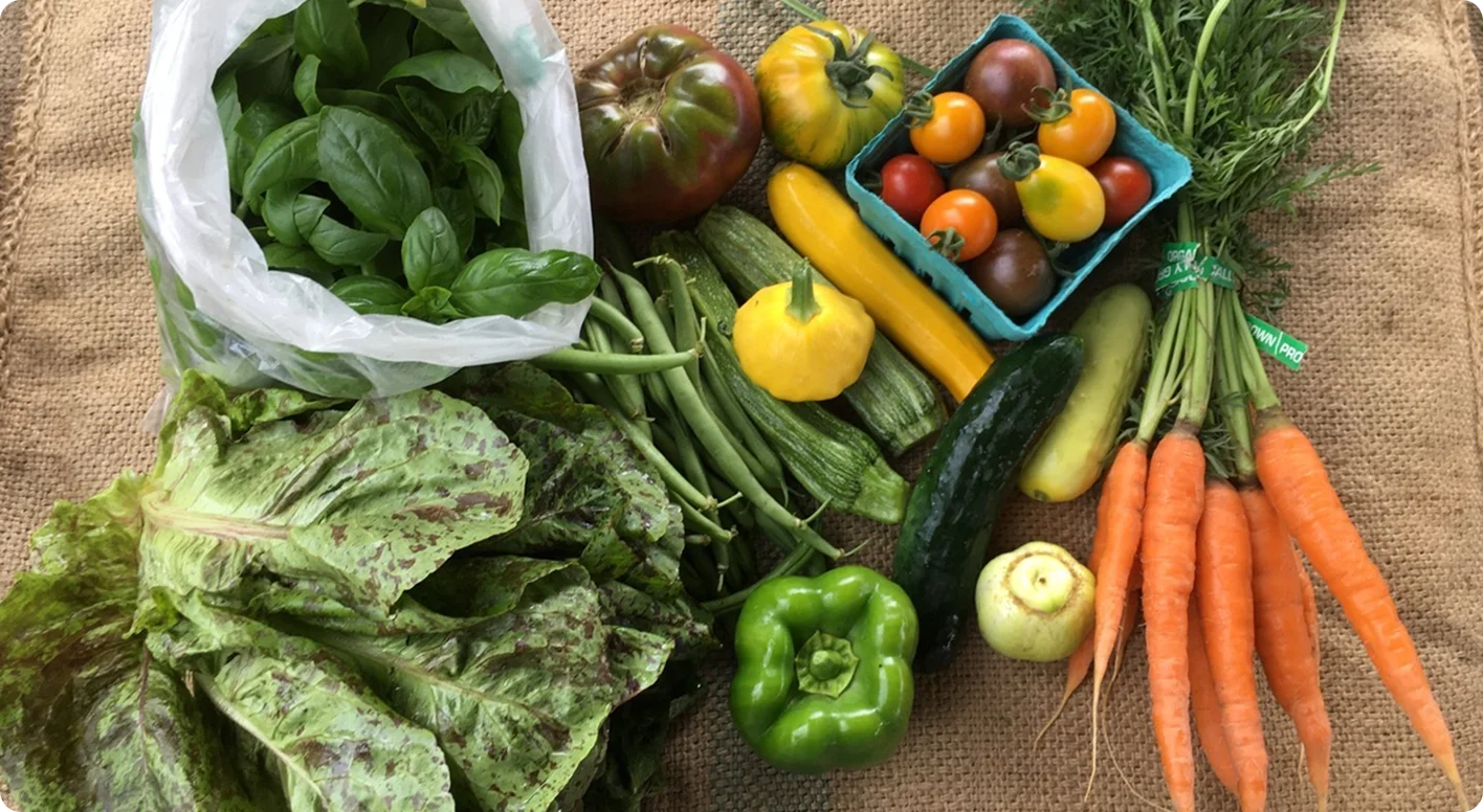 Our Roots - Farm Box Program Our Roots - Farm Box Program