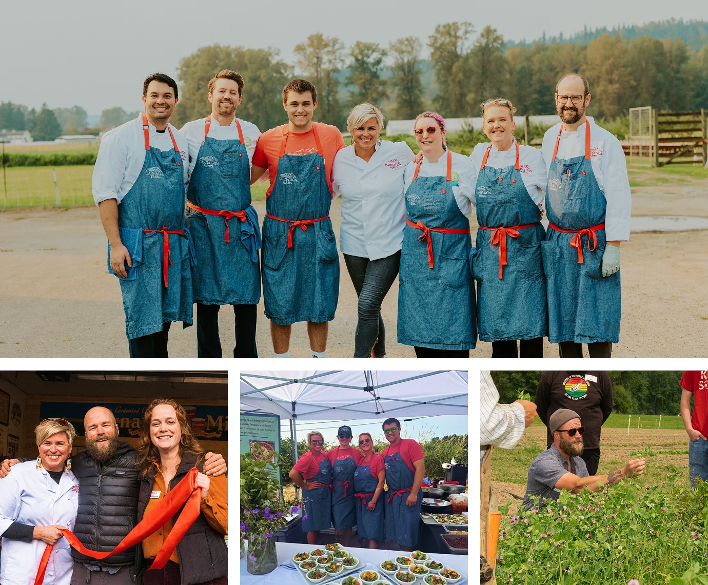 Our Team - Collage Our Team - Collage