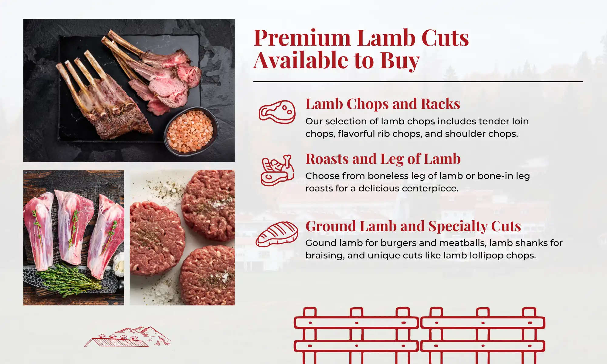 Infographic of premium lamb cuts including chops, roasts, and specialty selections