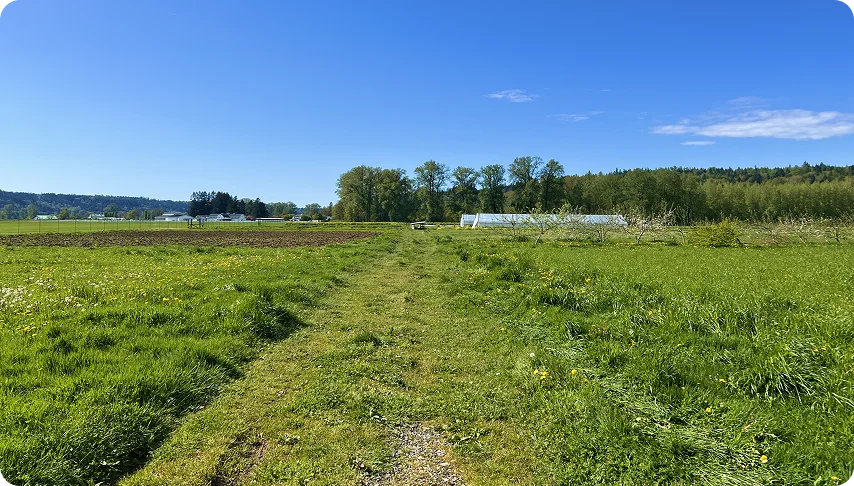 Regenerative Agriculture Regenerative Agriculture