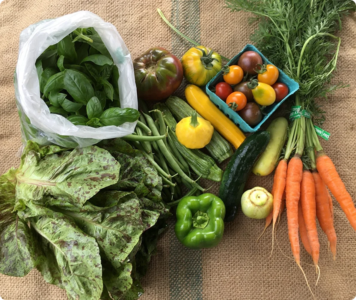 Roots - Programs - Farm Box Roots - Programs - Farm Box