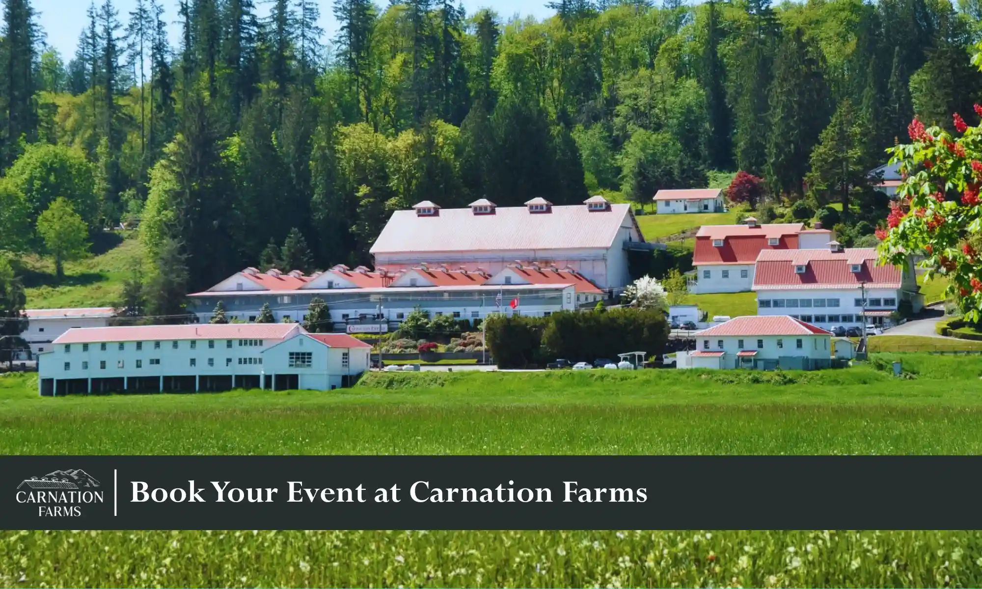 Aerial view of Carnation Farms showcasing event buildings and surrounding landscape.