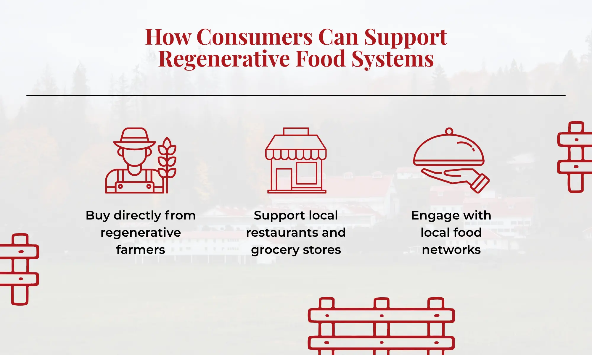 Infographic showing ways consumers can support regenerative food systems