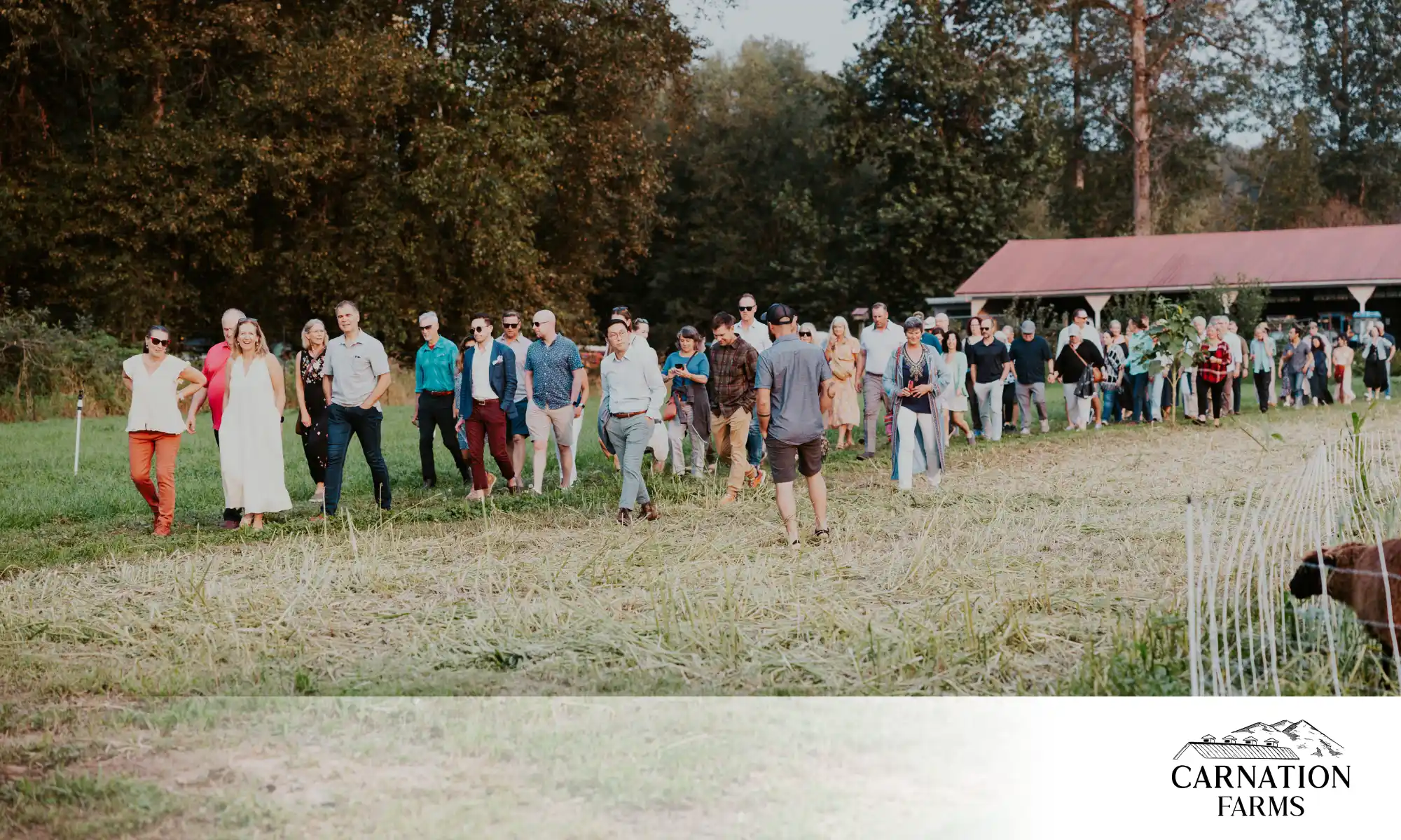 Corporate team walking together during a retreat at Carnation Farms.