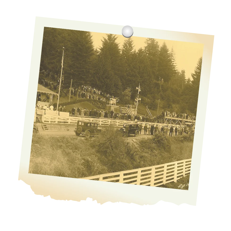 Timeline 1928