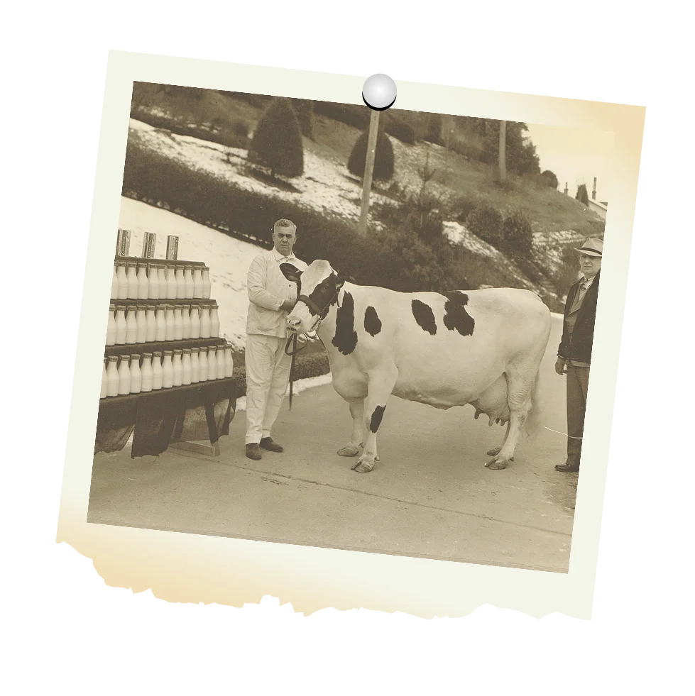 Timeline 1936