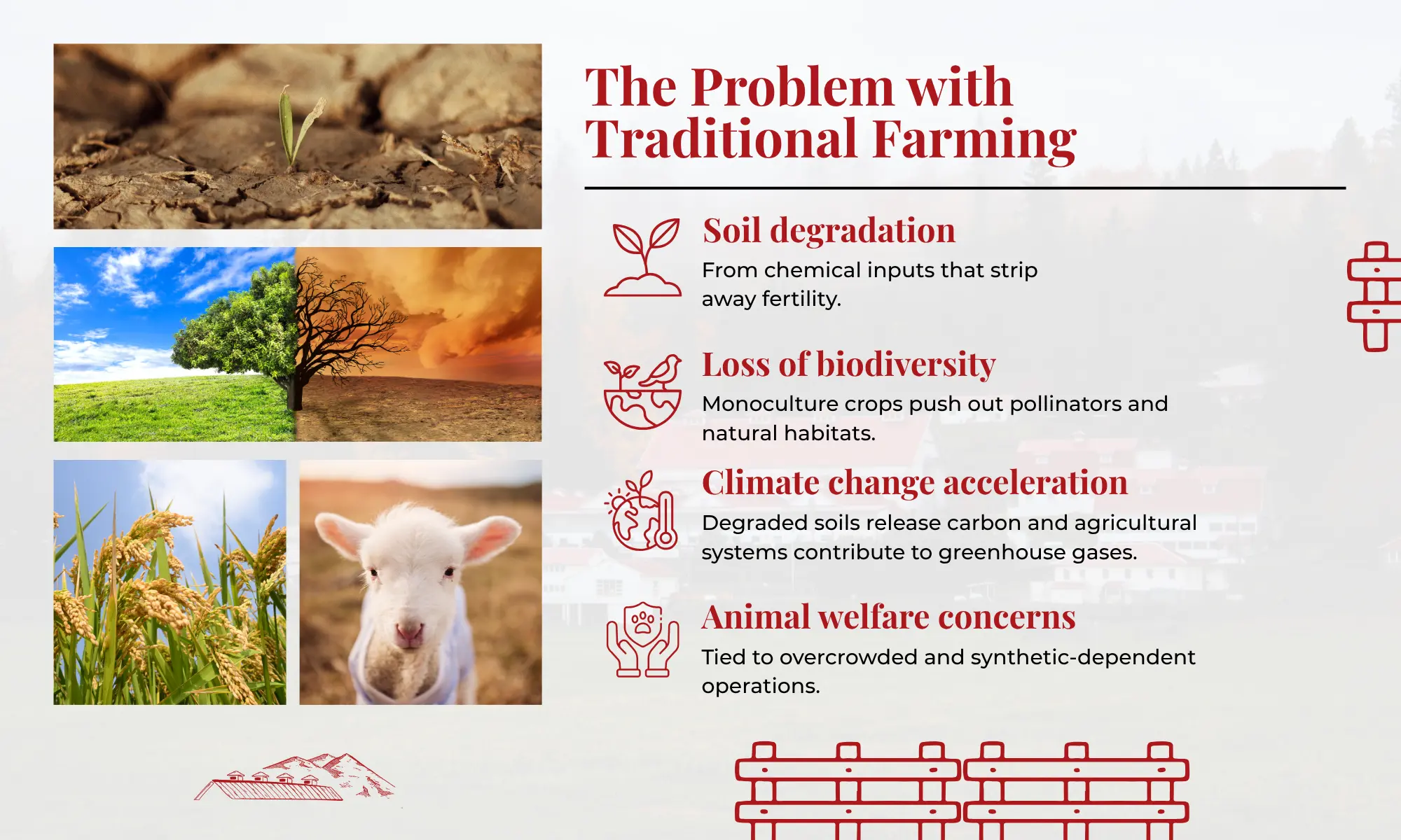 Infographic showing problems with traditional farming and environmental impact