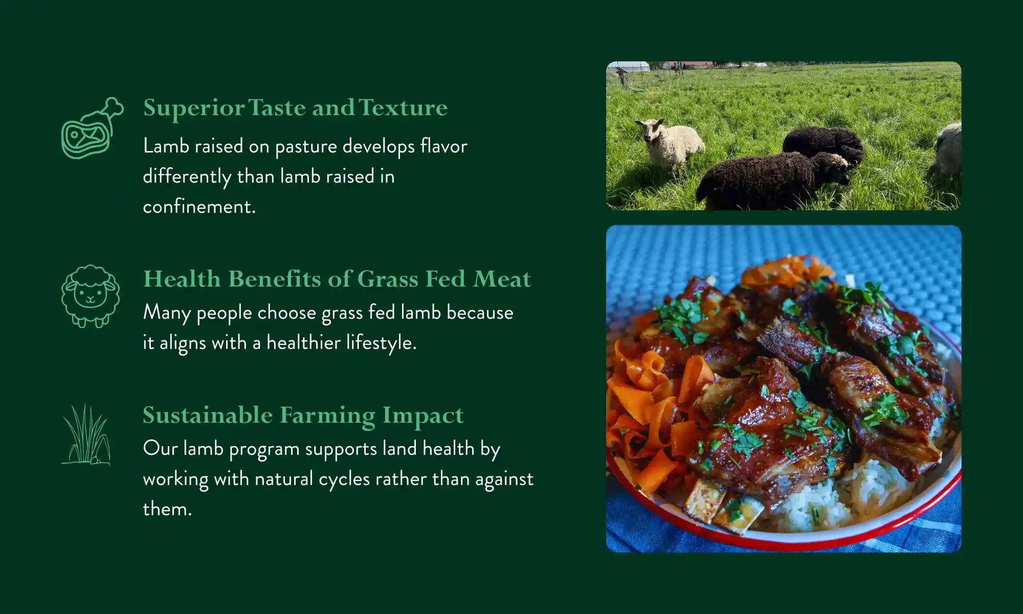 Grass-fed lamb grazing in pasture and prepared lamb meal at Carnation Farms.